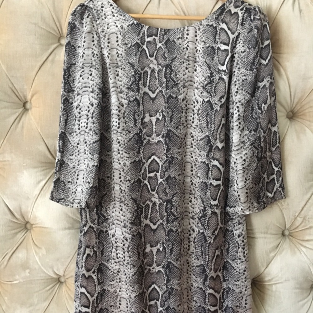 Ark & Co Snake Print Shift Dress
